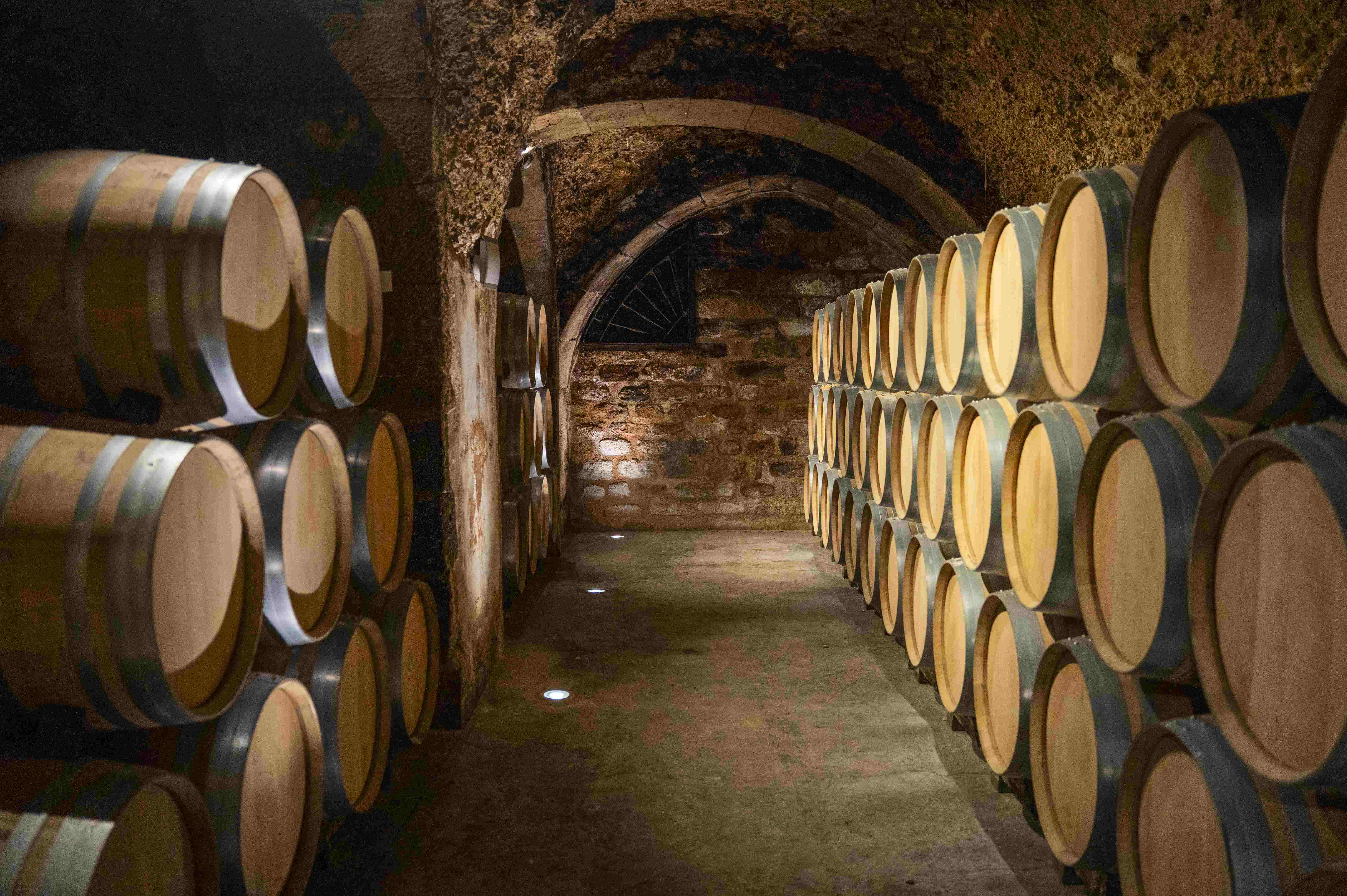 BODEGAS