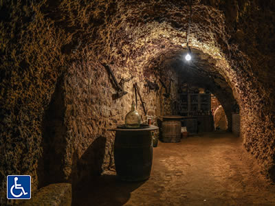 Underground Cellar At Casa Garcetas