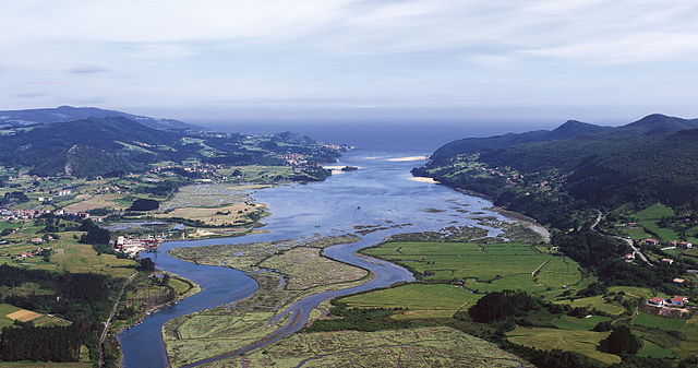 Estuaire Urdaibai (Vizcaya)Photo: Mikel Arrazola